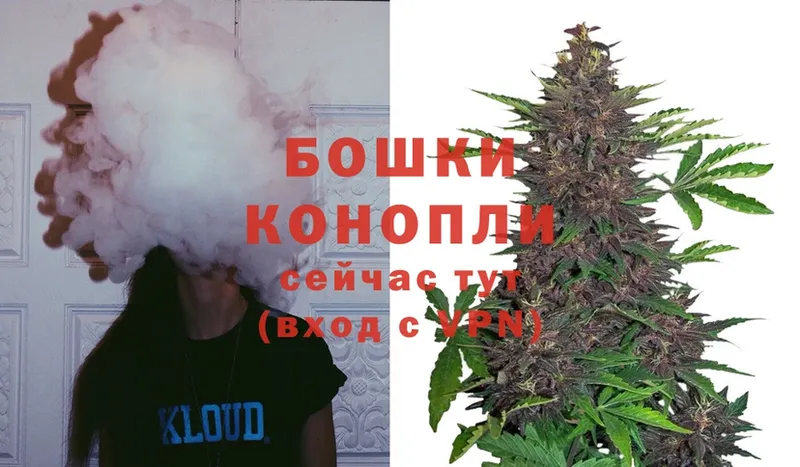 что такое   Бокситогорск  Канабис THC 21% 